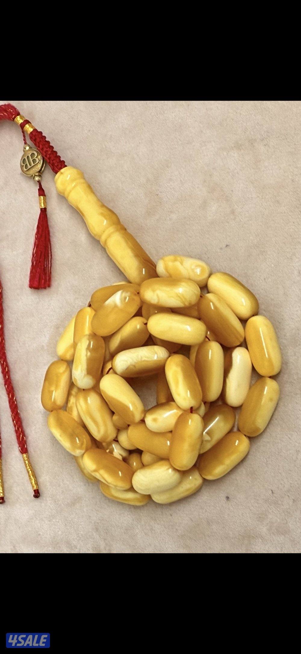 نوادر بو احمد شموه1