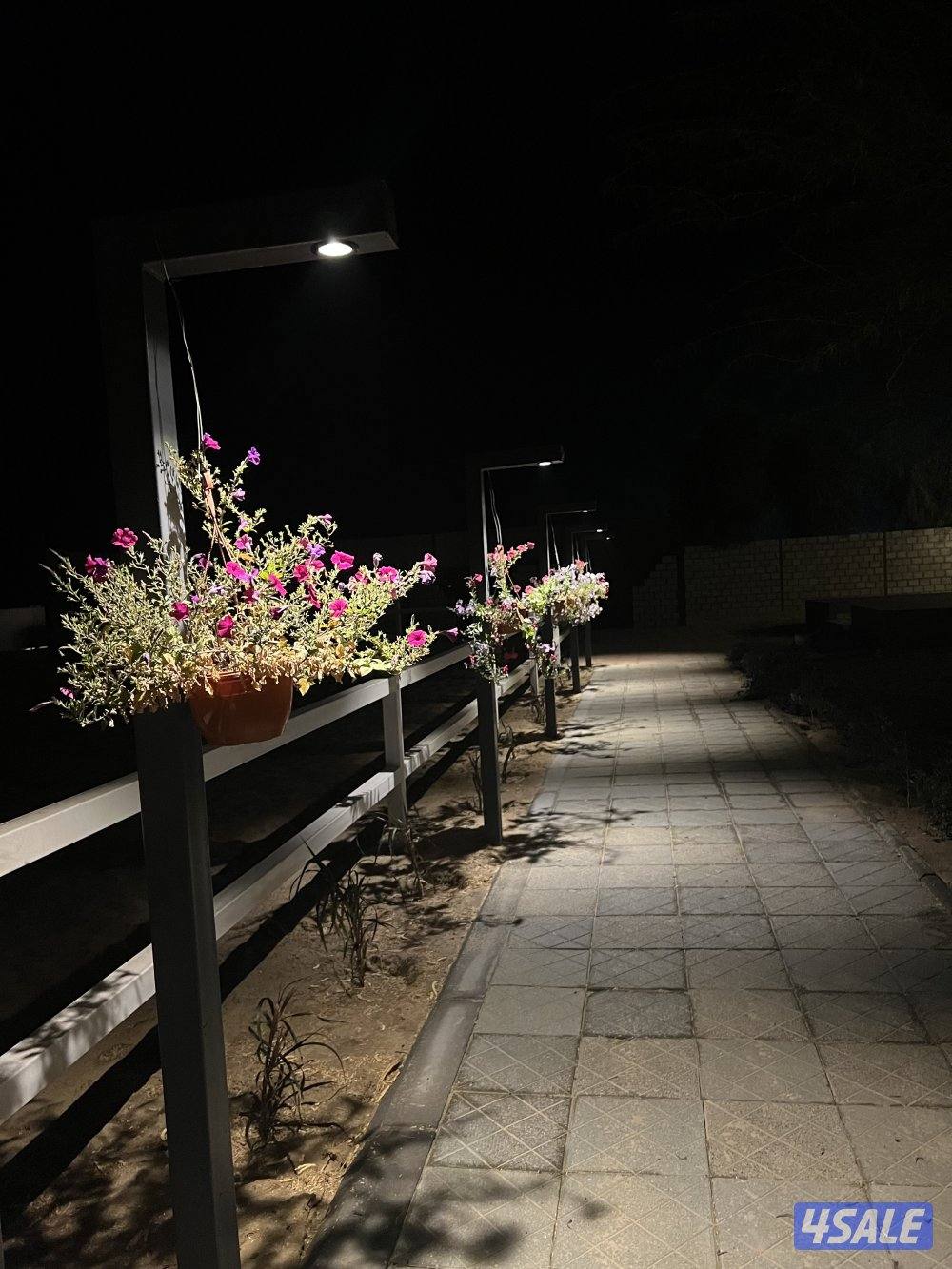 شبات ارتفاع 3 متر0