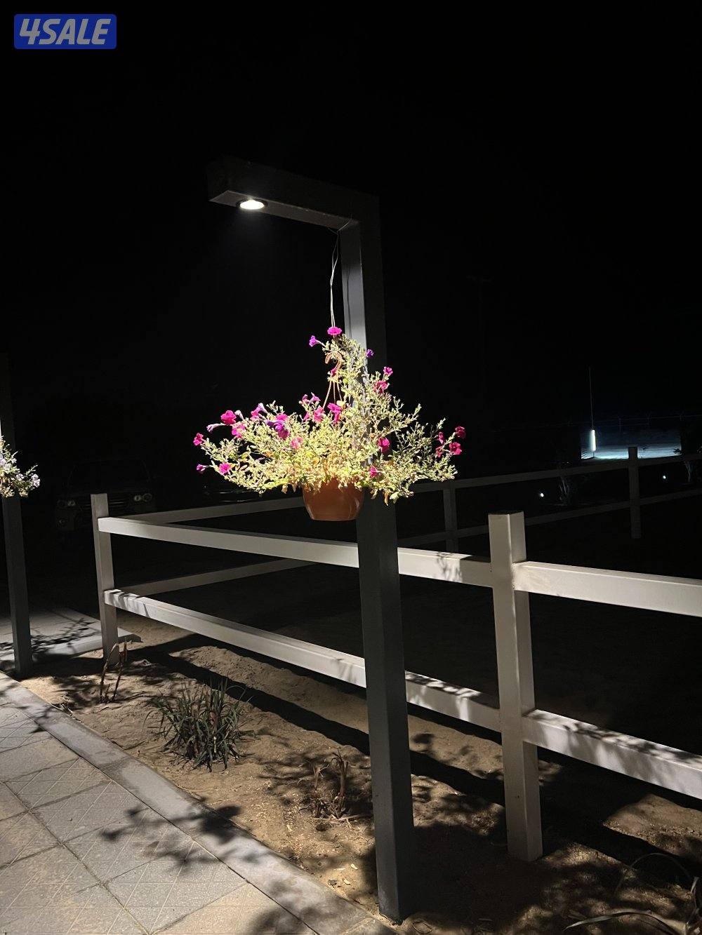 شبات ارتفاع 3 متر1