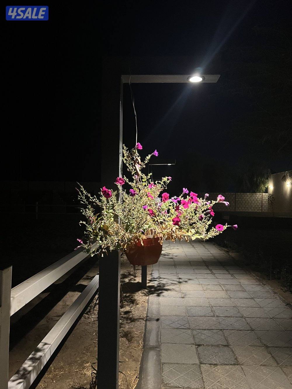 شبات ارتفاع 3 متر3