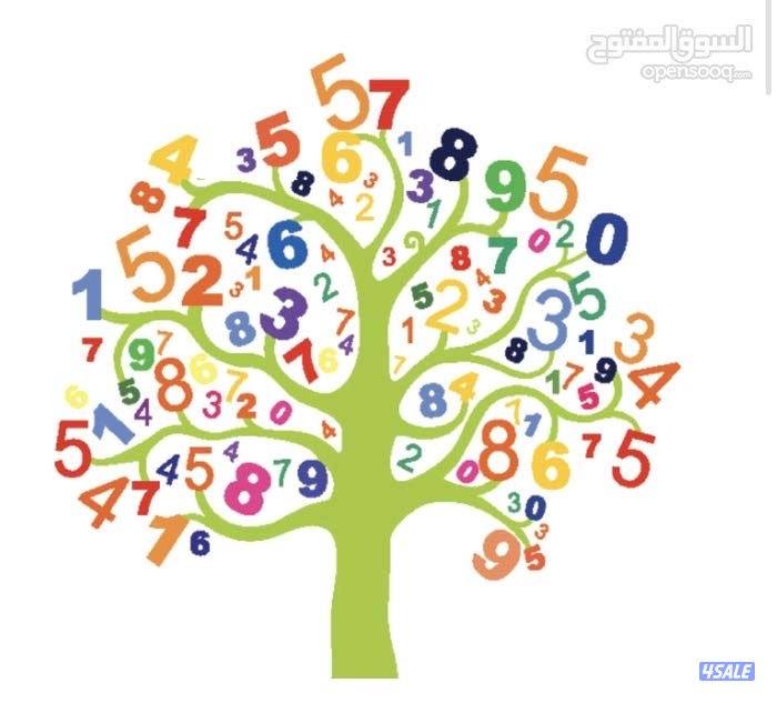 مدرس اول رياضيات للصفوف المتوسطة والثانوي5