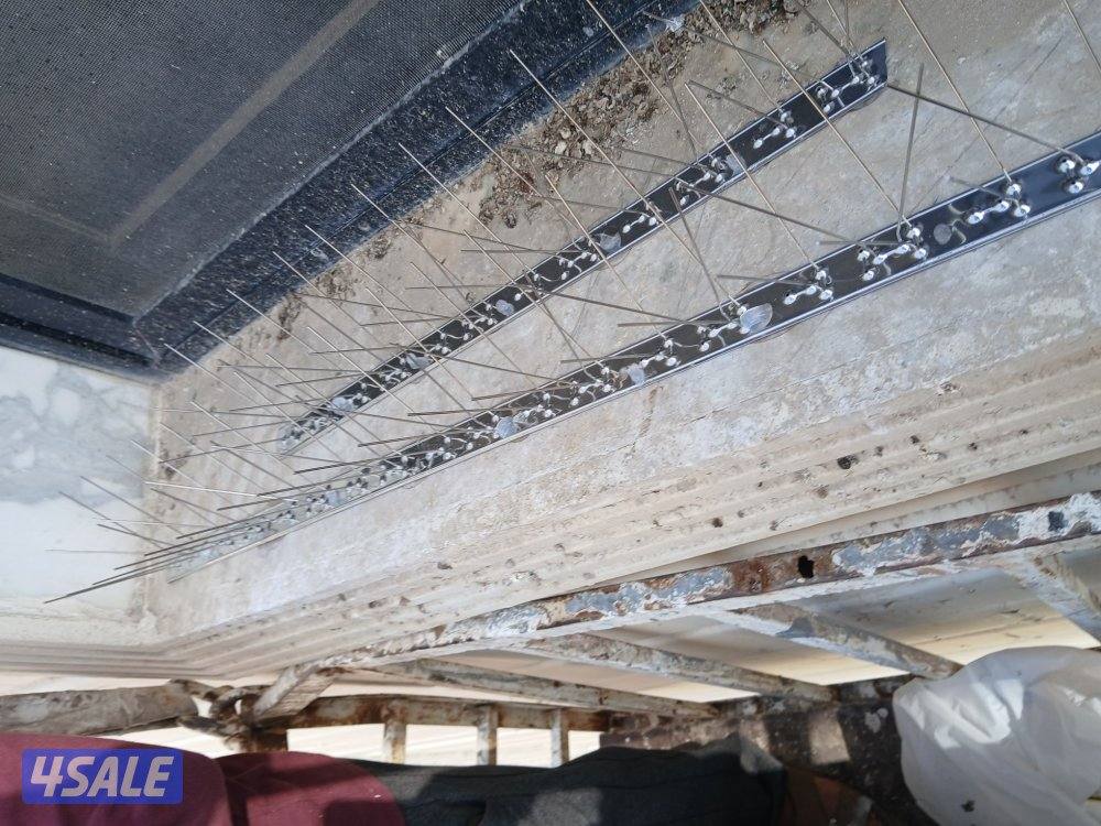 تركيب شبك طارد للطيور للتخلص من فضلات الحمام3