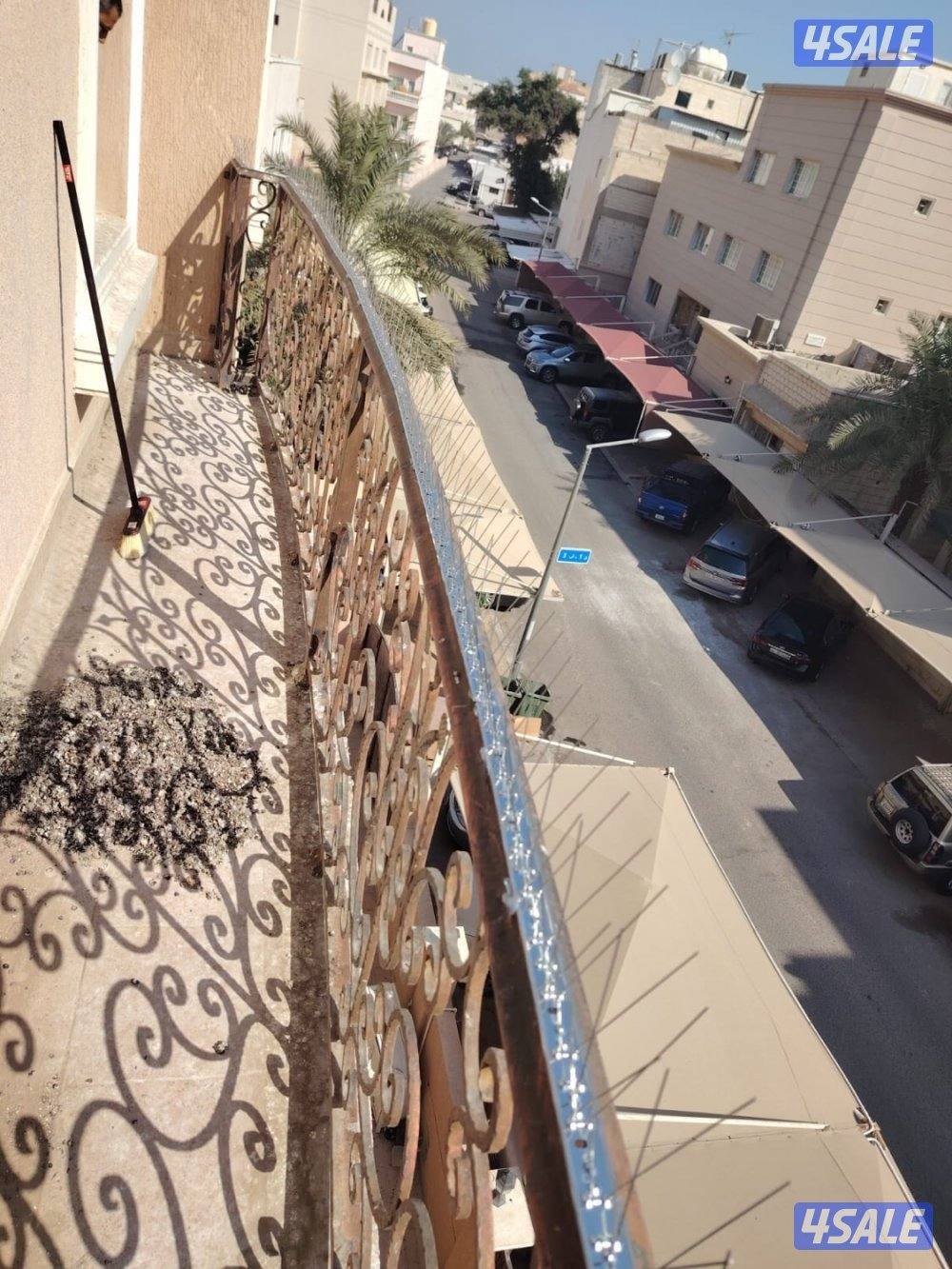 تركيب شبك طارد للطيور للتخلص من فضلات الحمام6