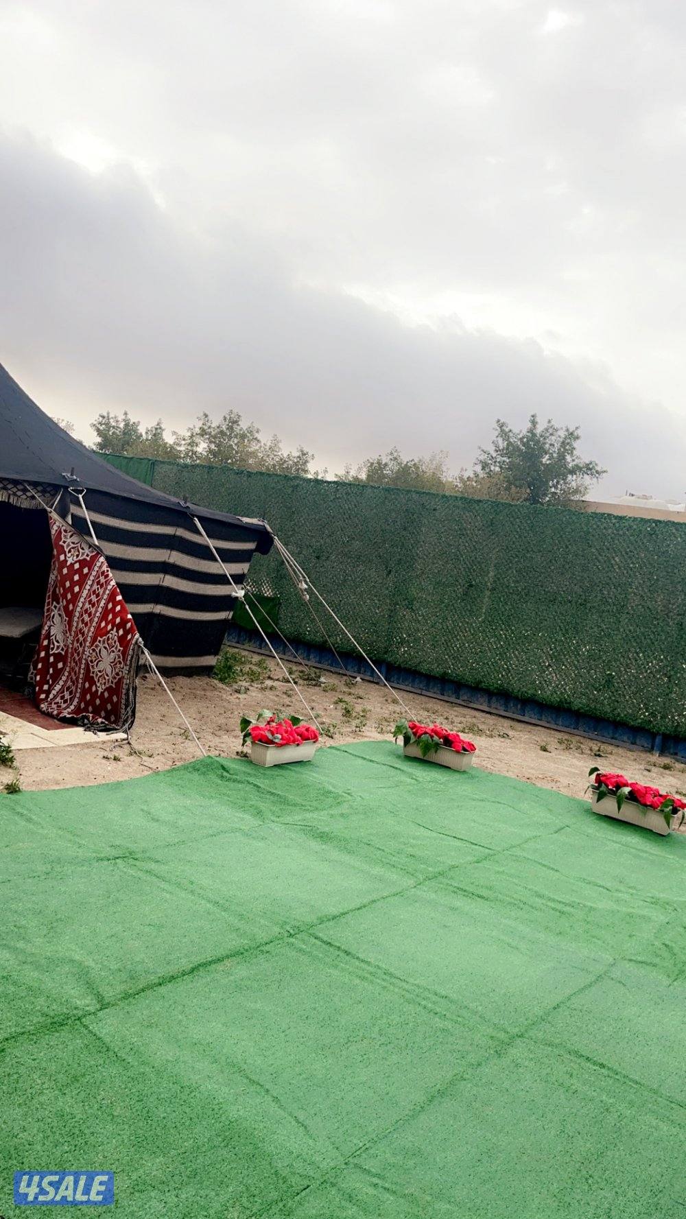 استراحة دكة غزال لايجار2