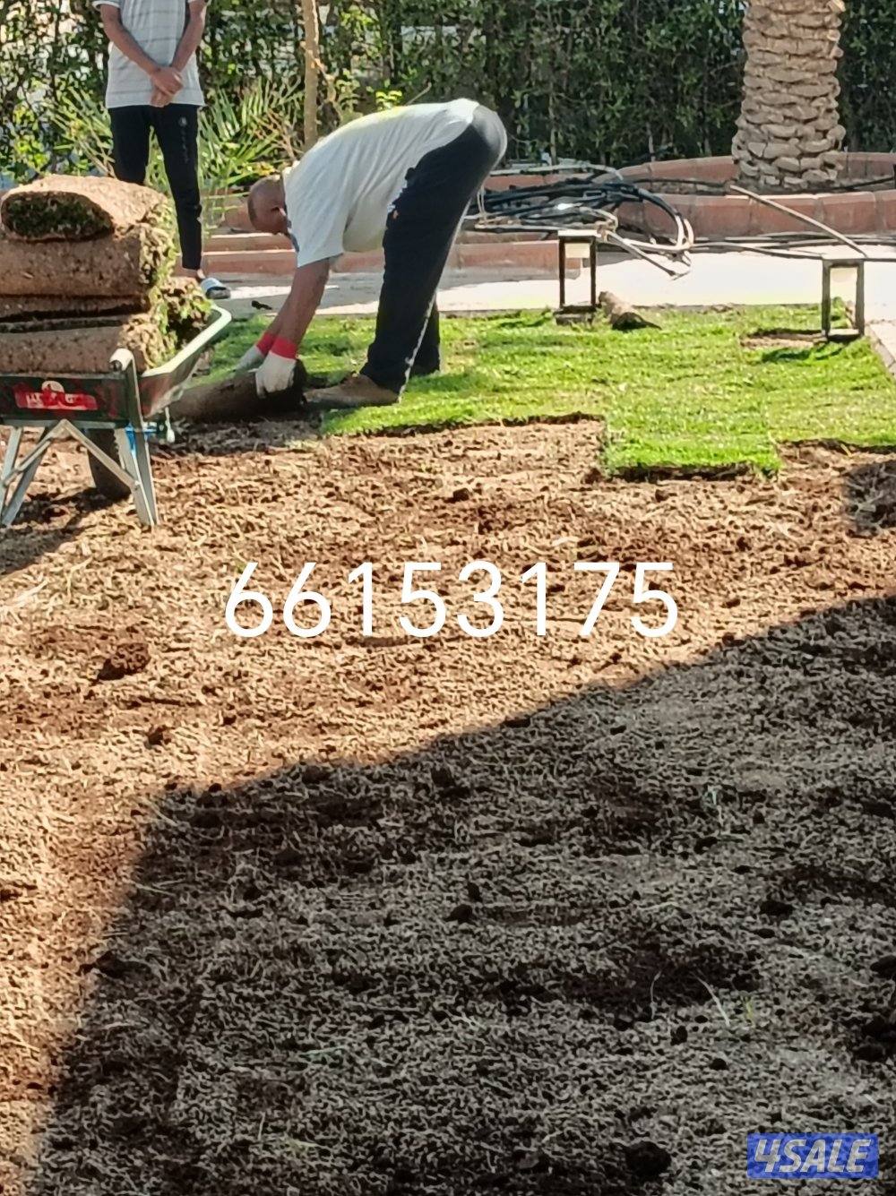 تنسيق حدائق زراع التيل الطبيعي وتكريب النخيال وقص الشجار الضخمه2