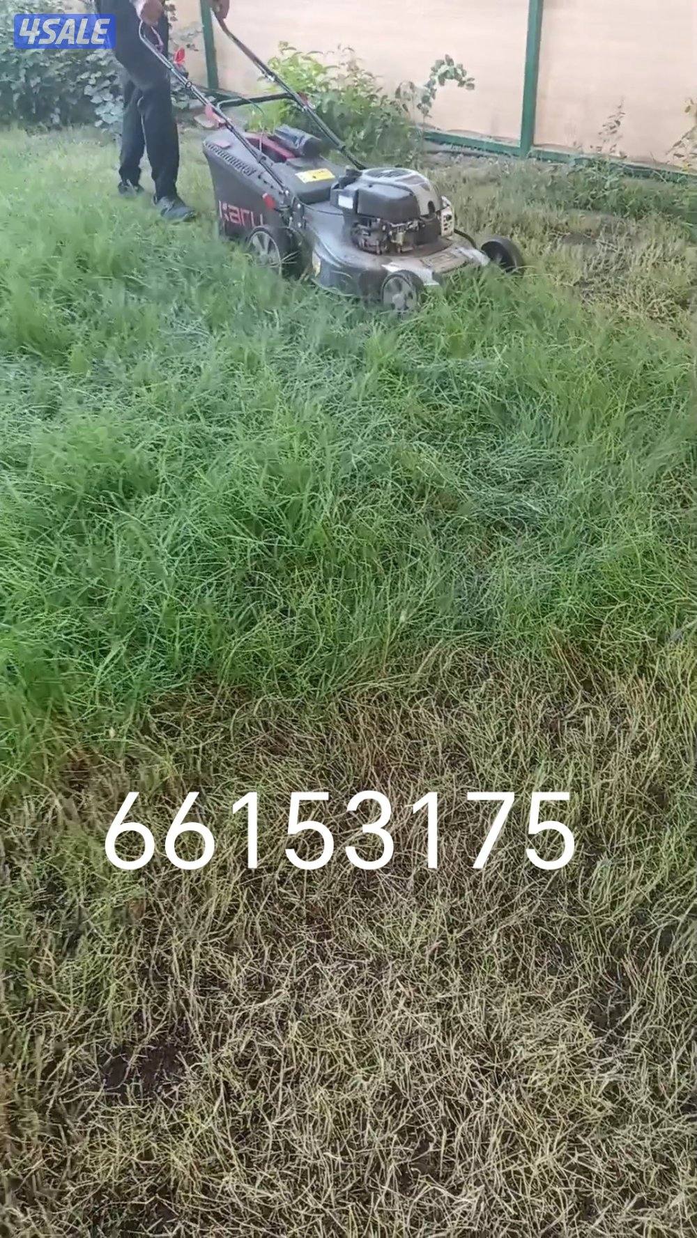 تنسيق حدائق زراع التيل الطبيعي وتكريب النخيال وقص الشجار الضخمه3