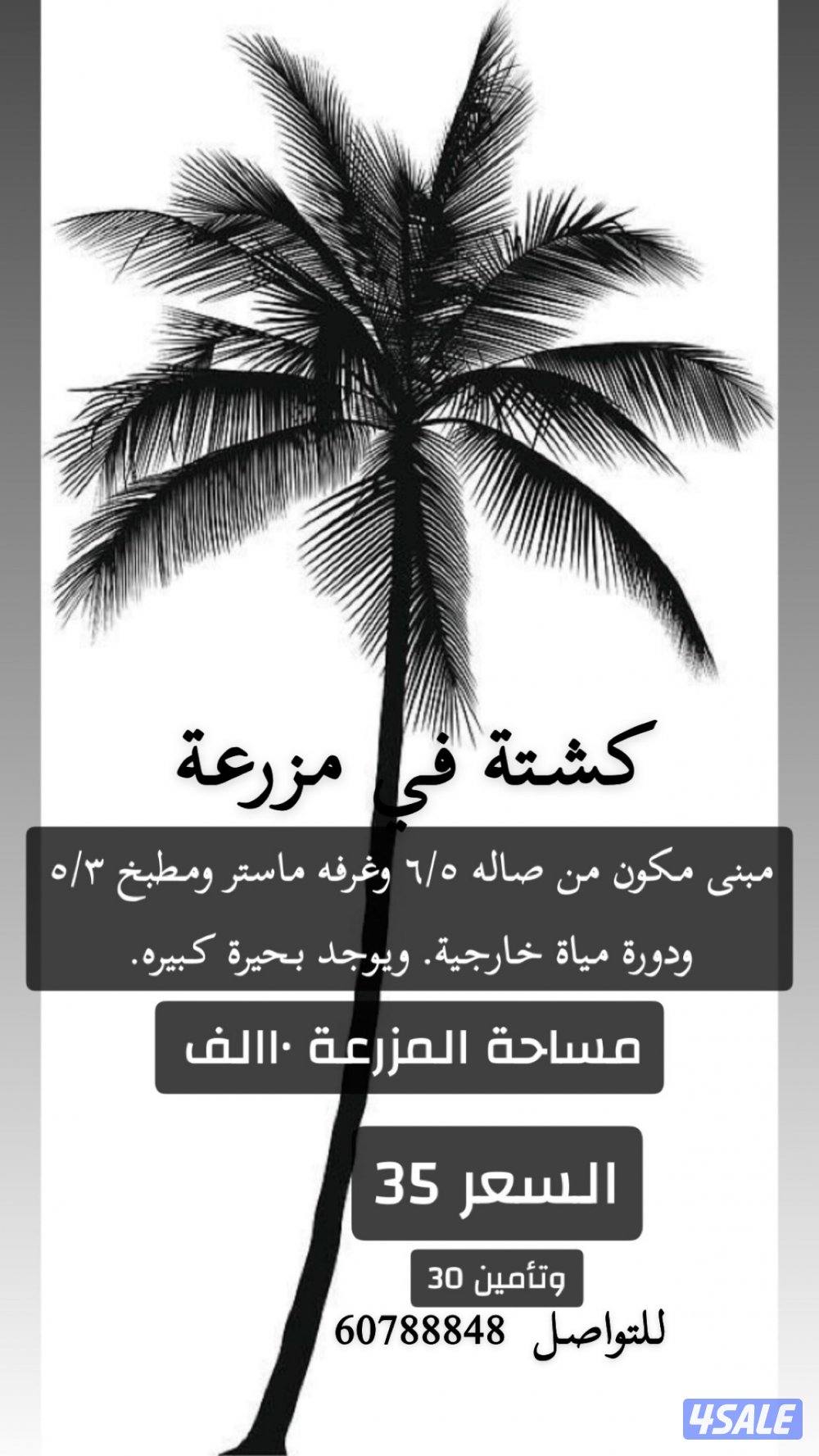 كشتة في مزرعة مستحتها ١٠ الف يوجد مبنى صغير فيه صاله وفرفه ماستر0