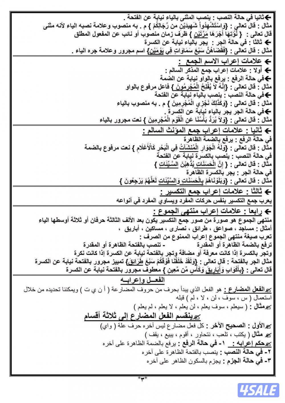 مدرس لغة عربية لجميع المراحل التعليمية والجامعات3