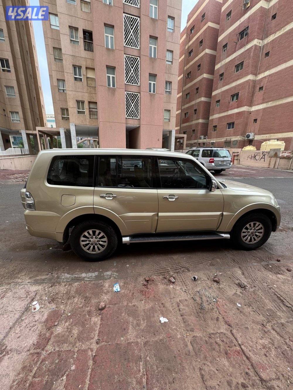 باجيرو ٢٠١٣ المالك الثاني4