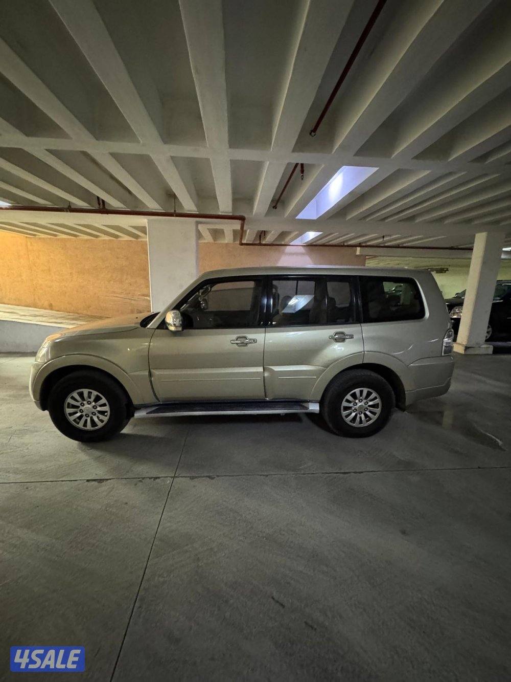 باجيرو ٢٠١٣ المالك الثاني10