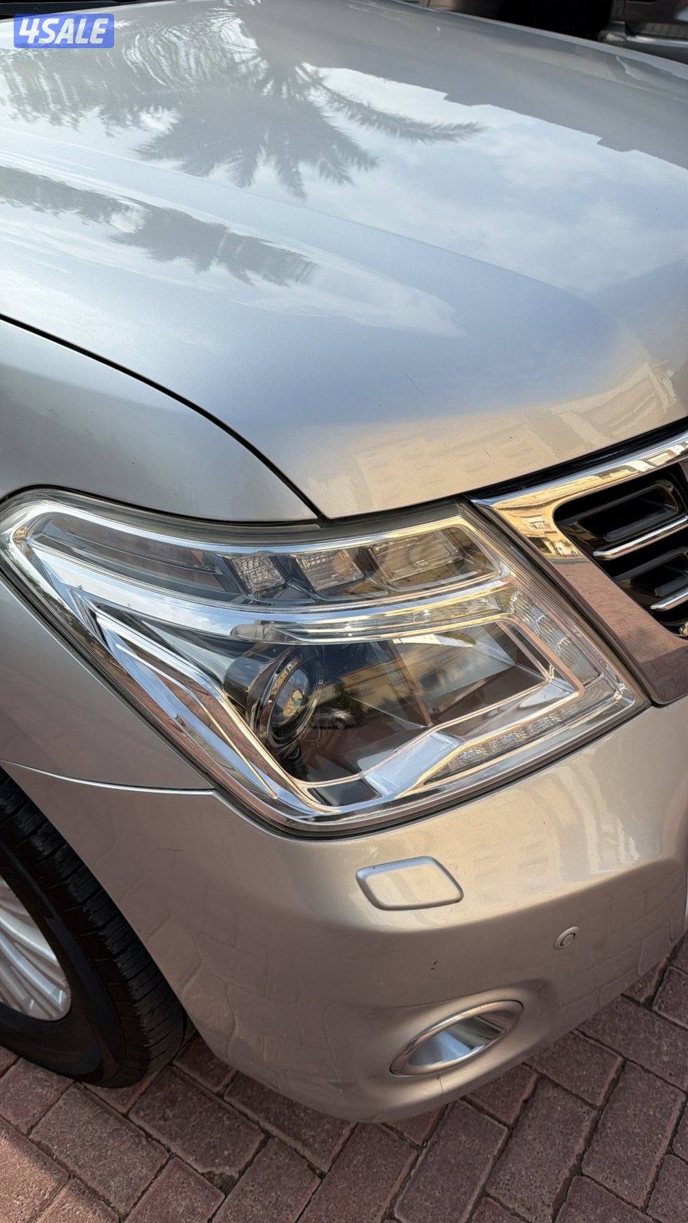 تيتانيوم صبغ الوكالة14