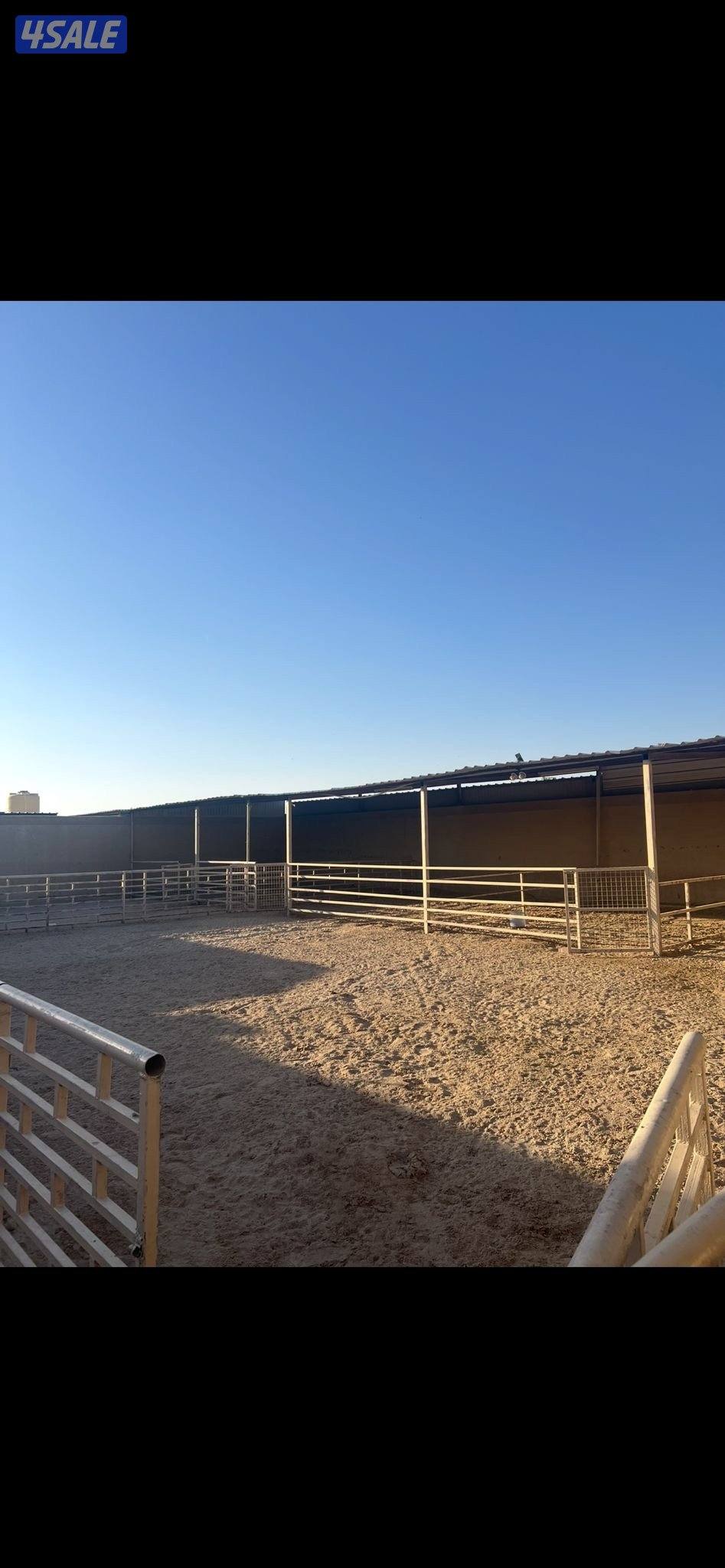 جاخور شهري0