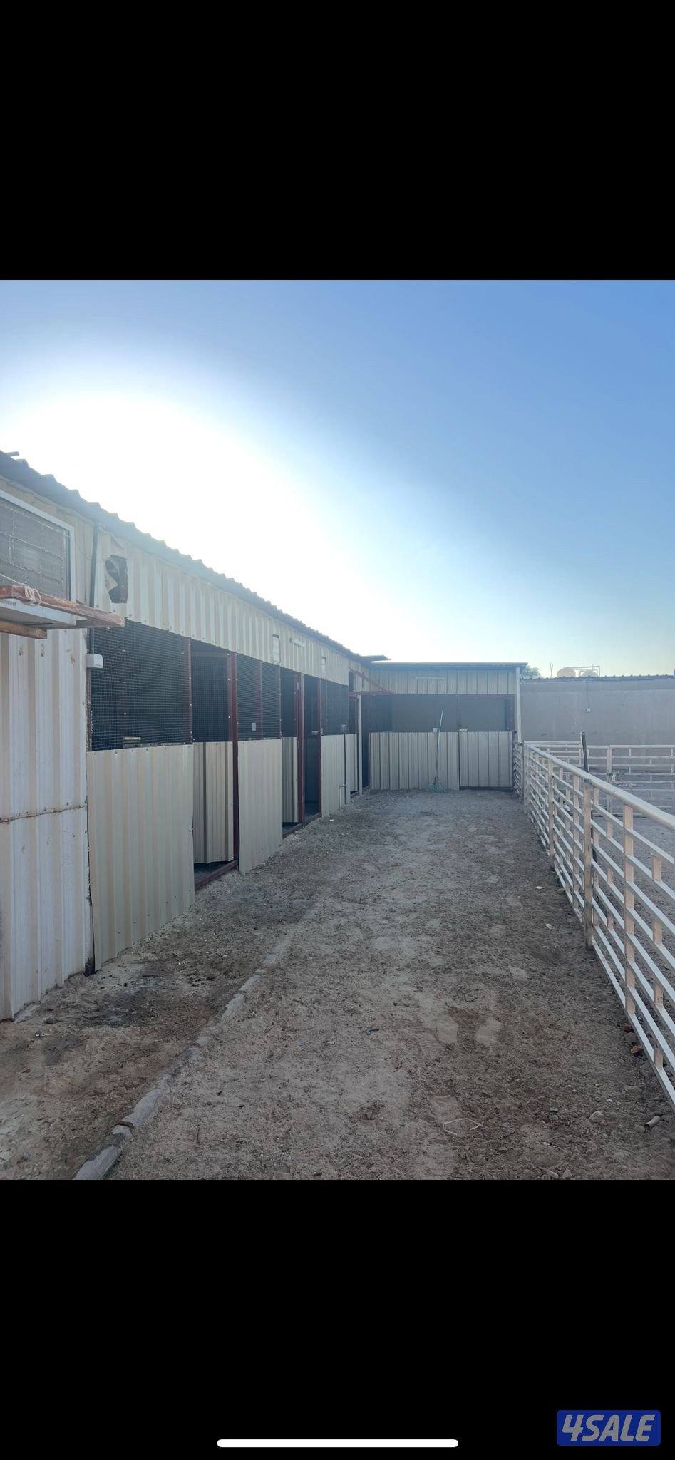 جاخور شهري1