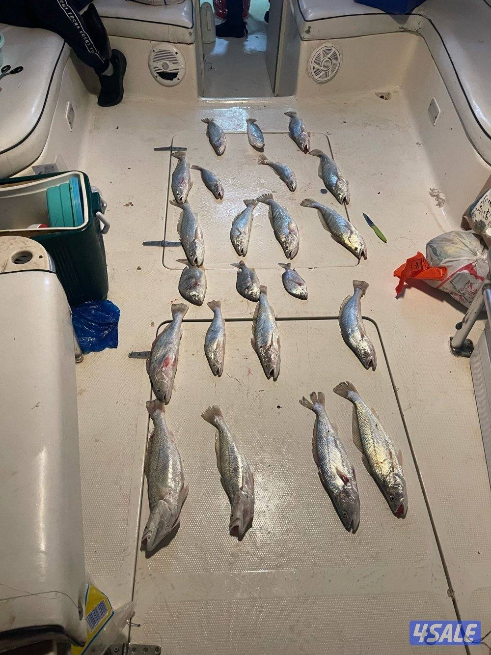 رحلات بحريه5