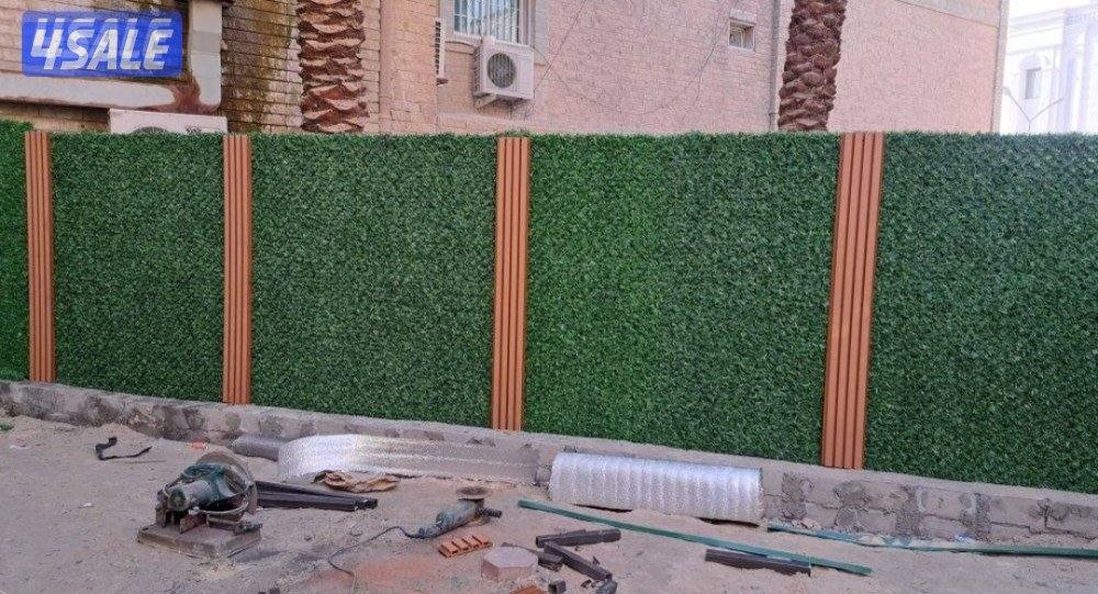 Amin hadad molamkirbe2