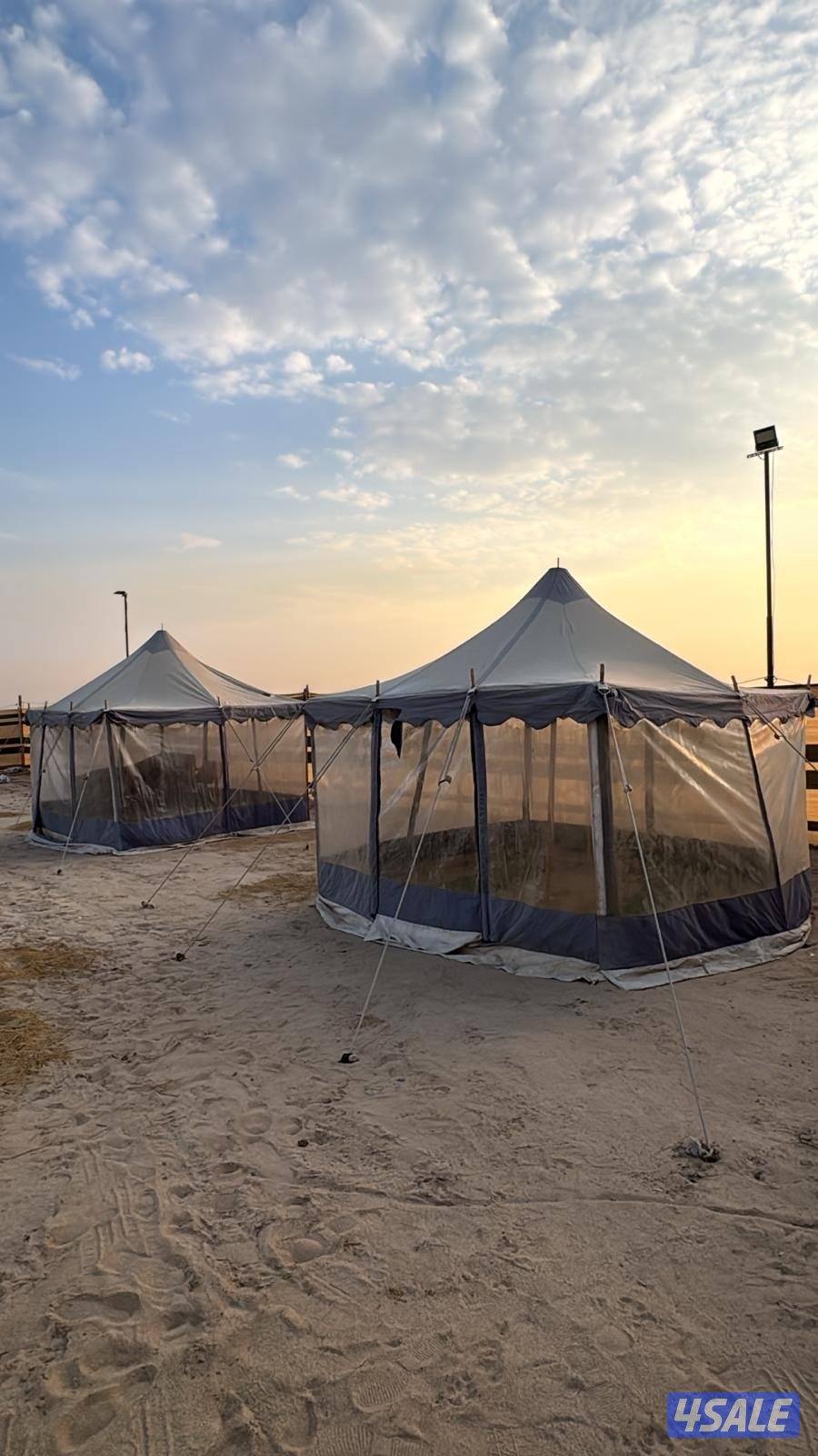 للبيع مخيم ثابت12