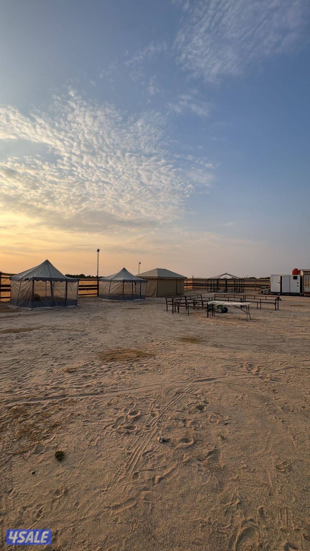 للبيع مخيم ثابت13