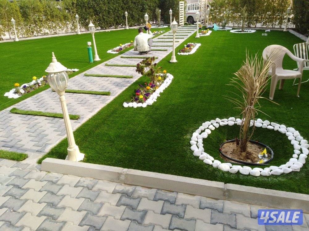 تنسيق وصيانه حدايق  توريد وزراعة  التيل  الأسترالي  والأمريكي  والعشب0