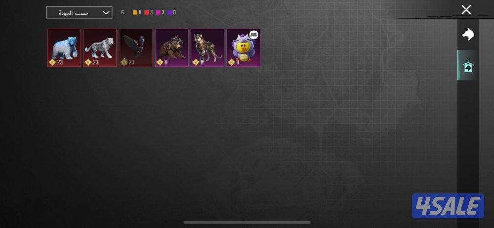 حساب ببجي عالميه بنص القيمه2