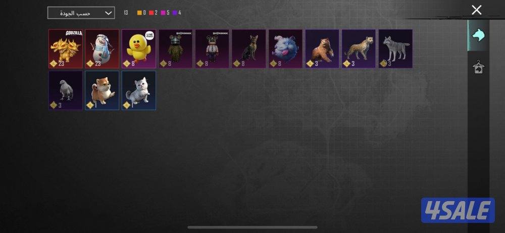 حساب ببجي عالميه بنص القيمه3