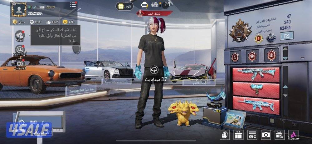 حساب ببجي عالميه بنص القيمه5