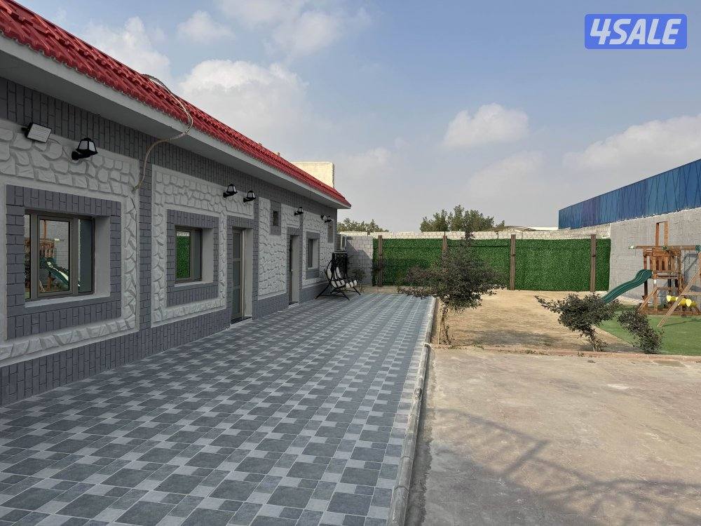 لايجار ديوانيه ومقلط الهجن كبد2