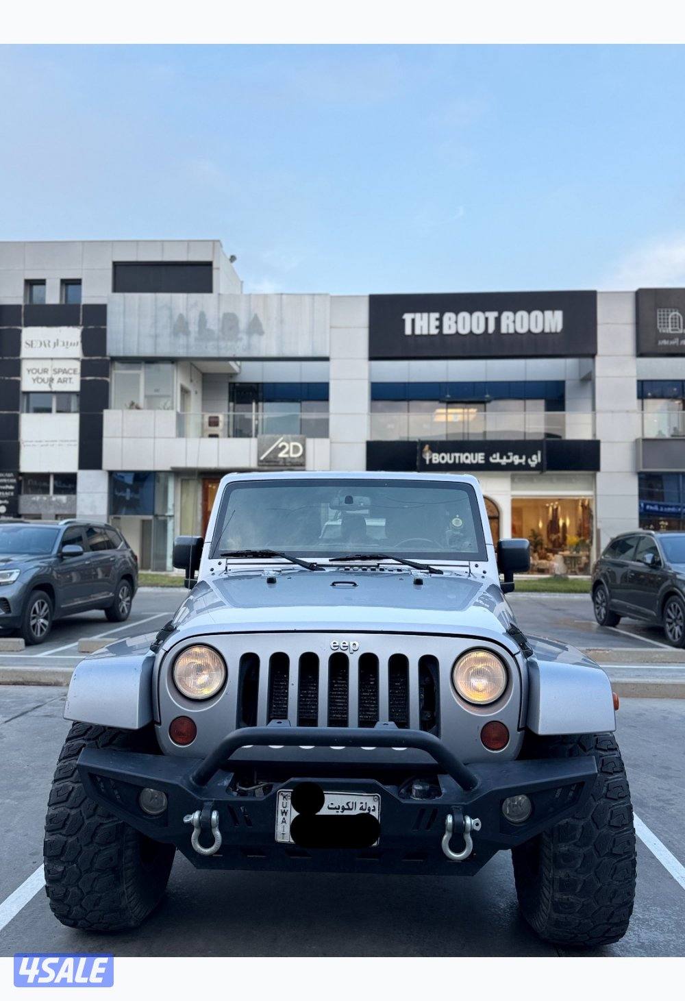 روبيكون صبغ الوكالة نظيف0