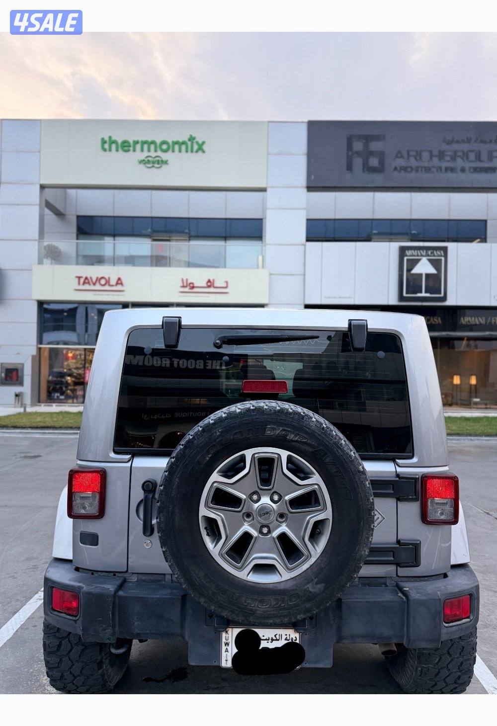 روبيكون صبغ الوكالة نظيف4