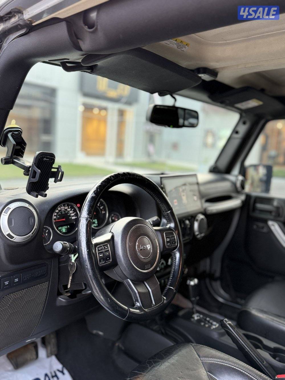 روبيكون صبغ الوكالة نظيف9