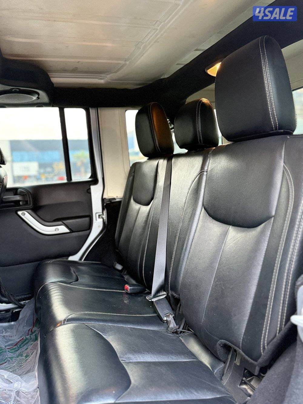 روبيكون صبغ الوكالة نظيف10