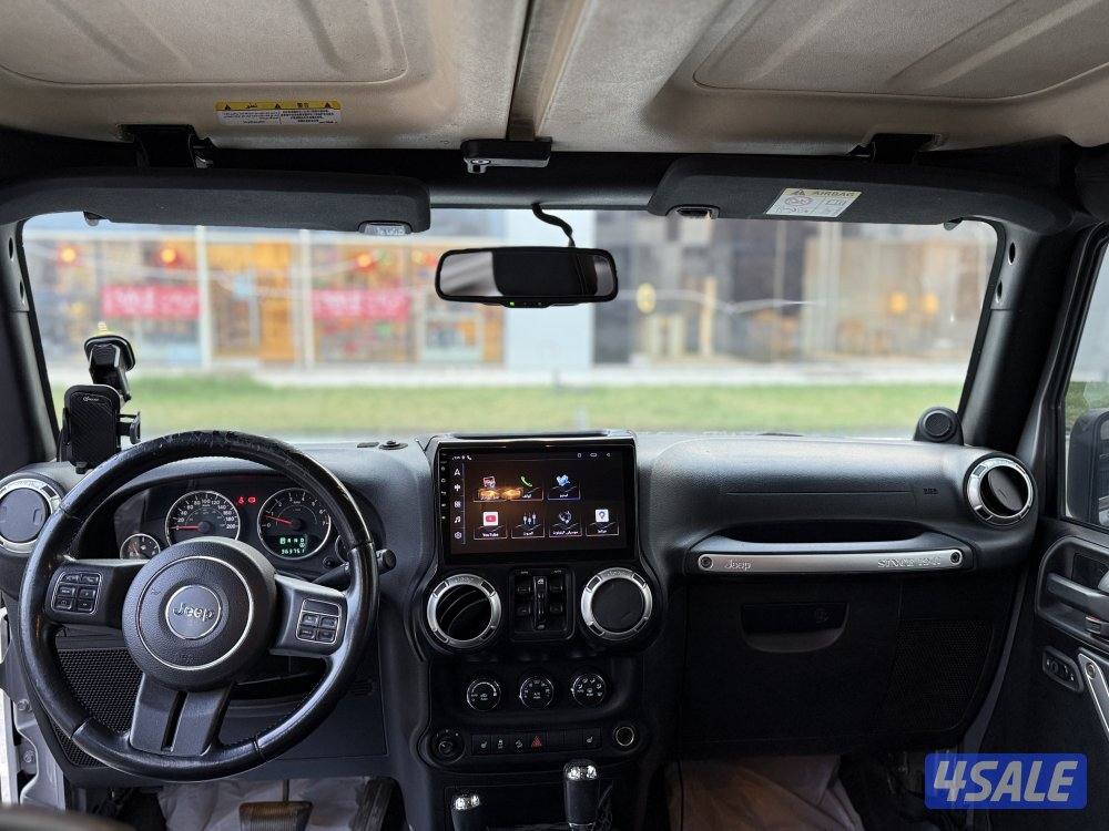 روبيكون صبغ الوكالة نظيف11