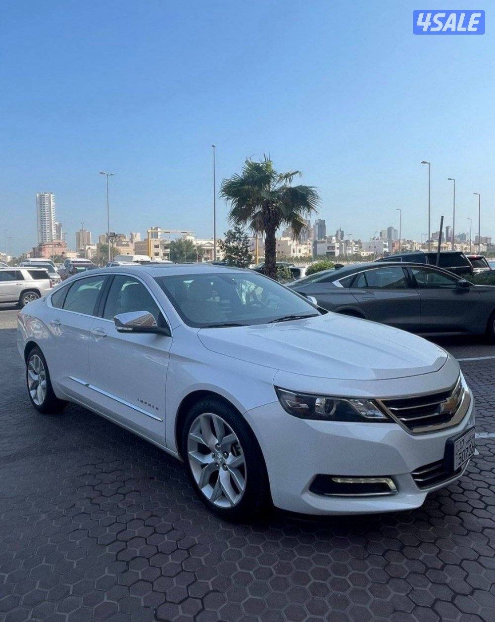 أمبالا بريمير Premier أعلى فئه 2019 ماشي 51000 صبغ الوكاله0