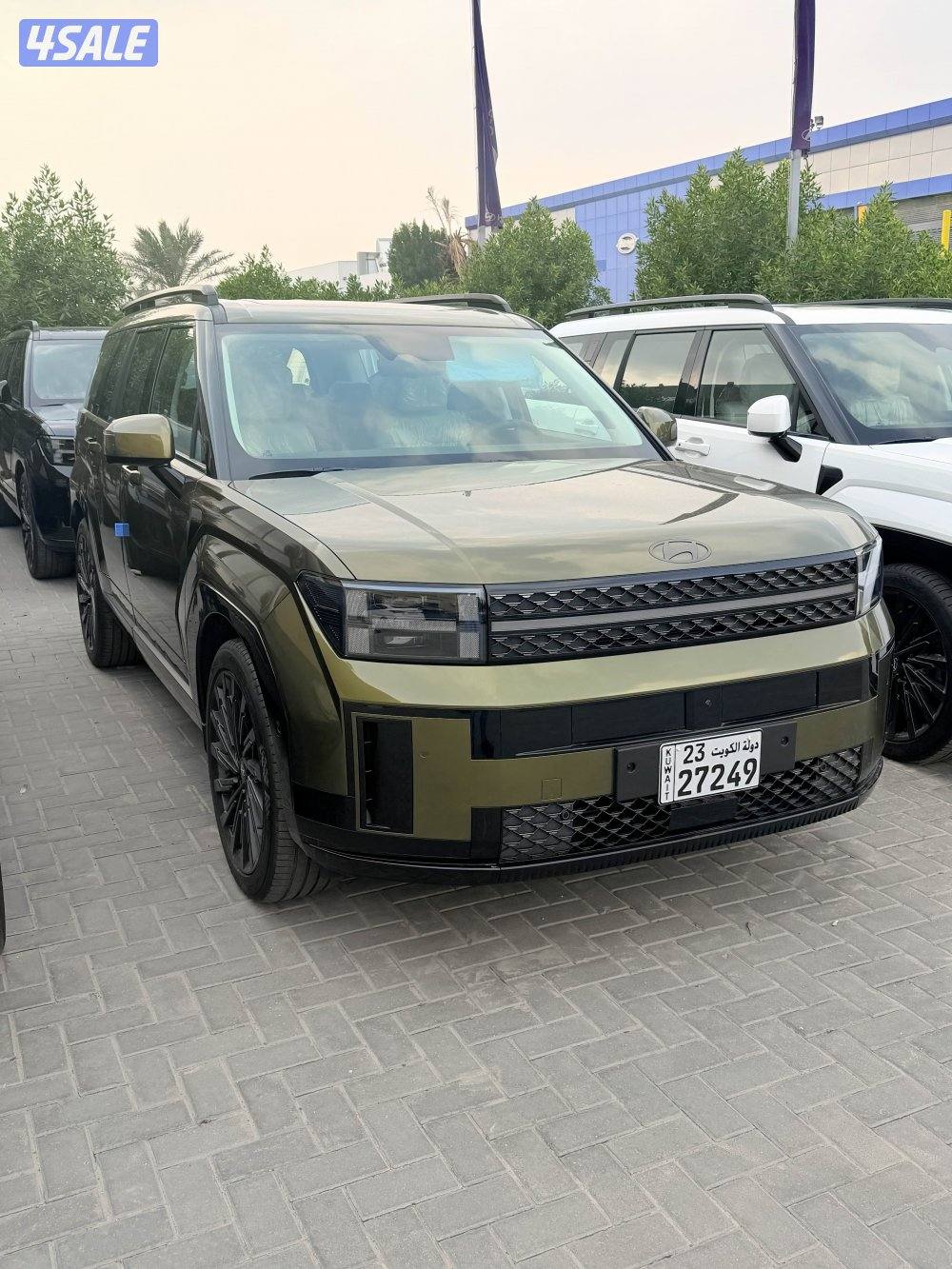 سنتافي الوان متعدده 2024 اصفار0