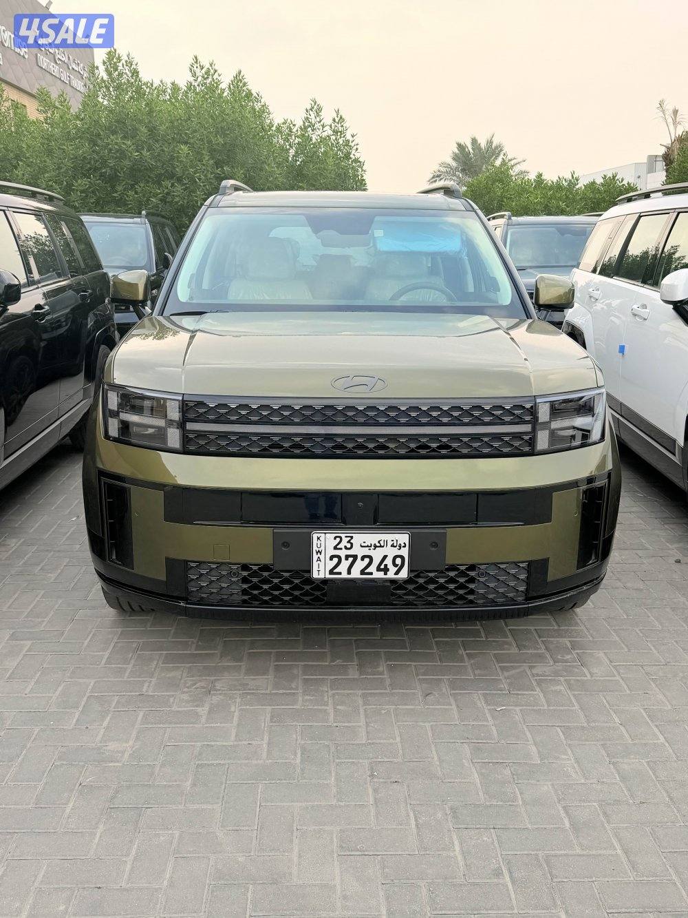 سنتافي الوان متعدده 2024 اصفار2