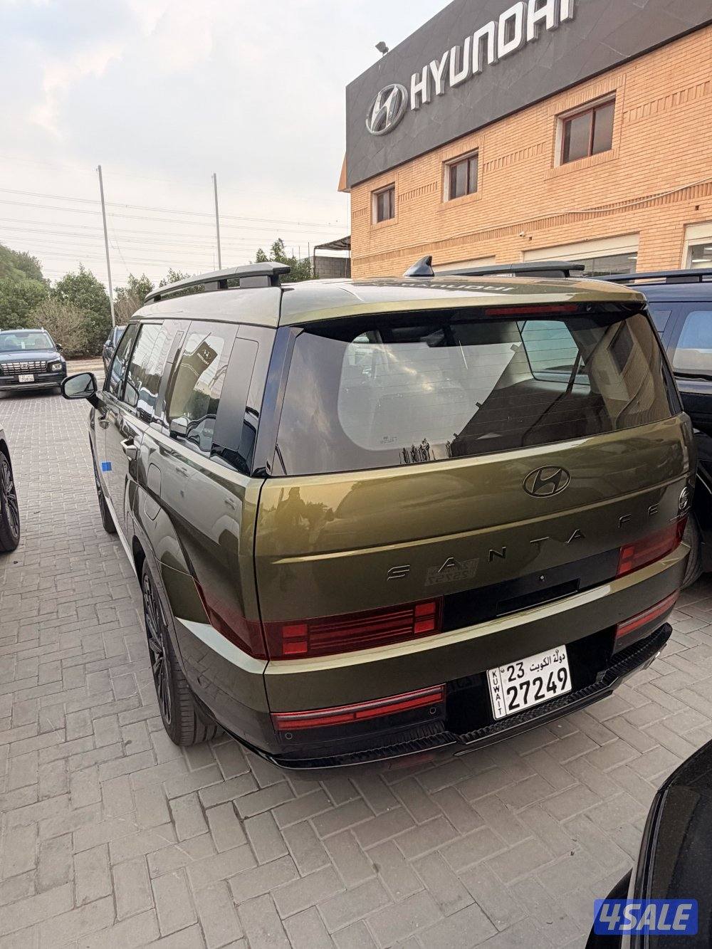 سنتافي الوان متعدده 2024 اصفار3