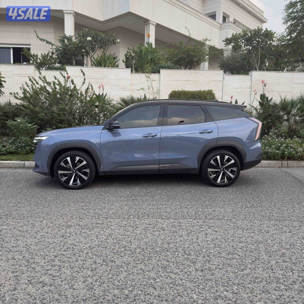 صبغ وكالة GF+2