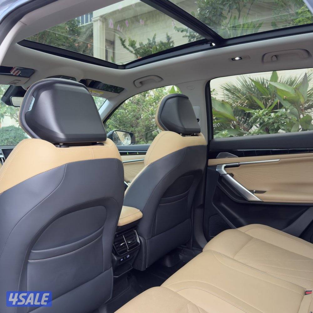 صبغ وكالة GF+6