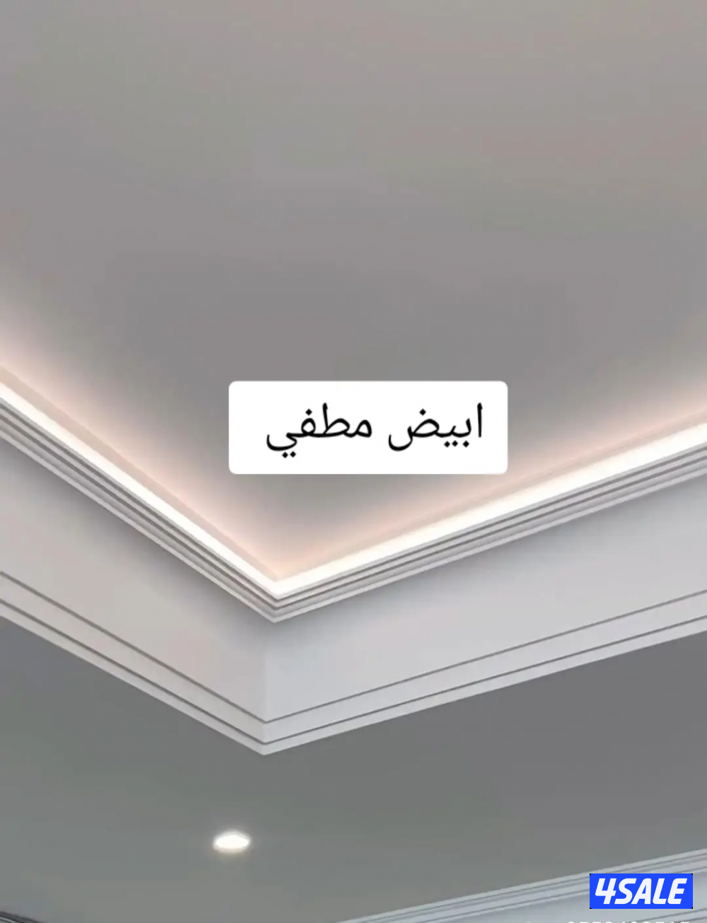 اصباغ الحديثه7