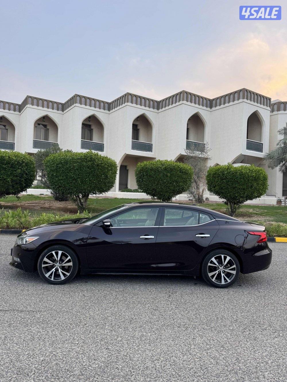 ماكسيما الدرجة الاولى صبغ الوكاله عداد 1001