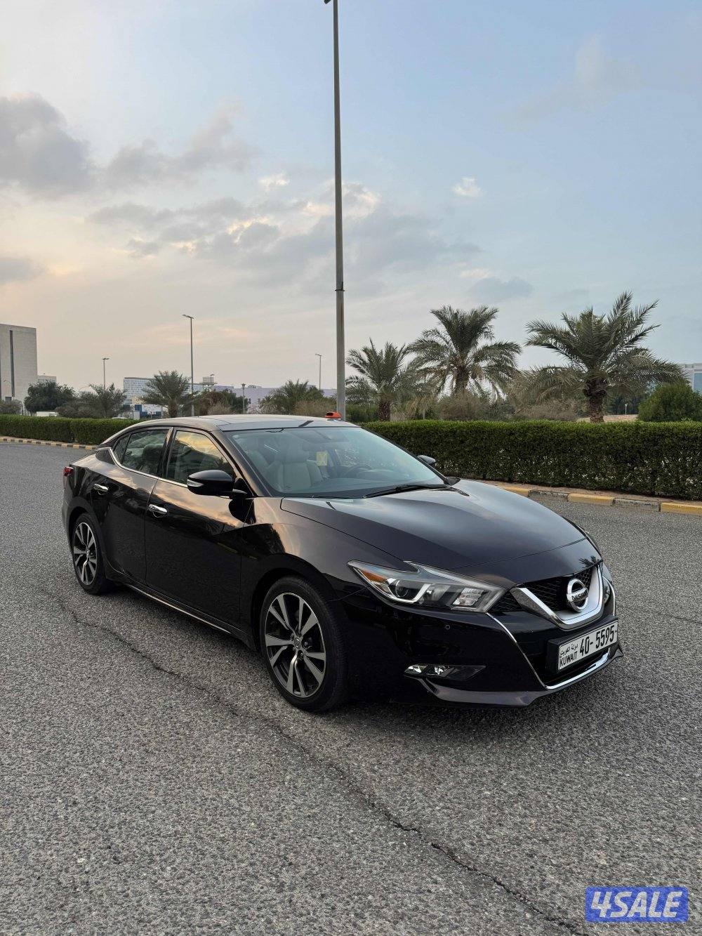 ماكسيما الدرجة الاولى صبغ الوكاله عداد 1002