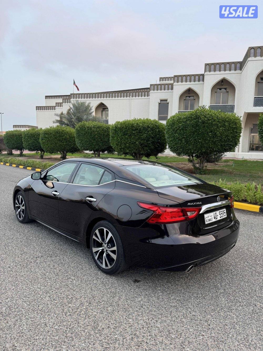 ماكسيما الدرجة الاولى صبغ الوكاله عداد 1003