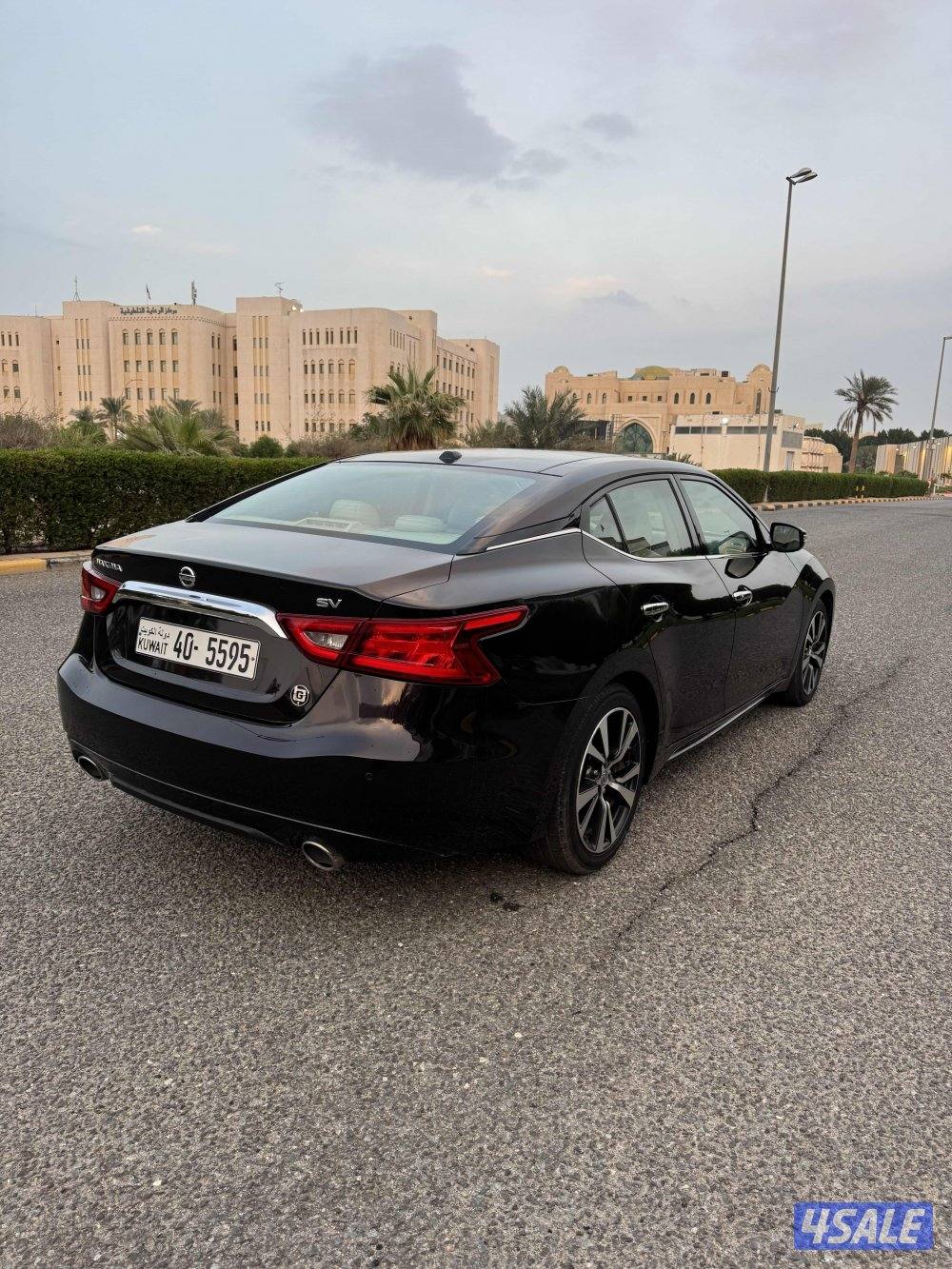 ماكسيما الدرجة الاولى صبغ الوكاله عداد 1004