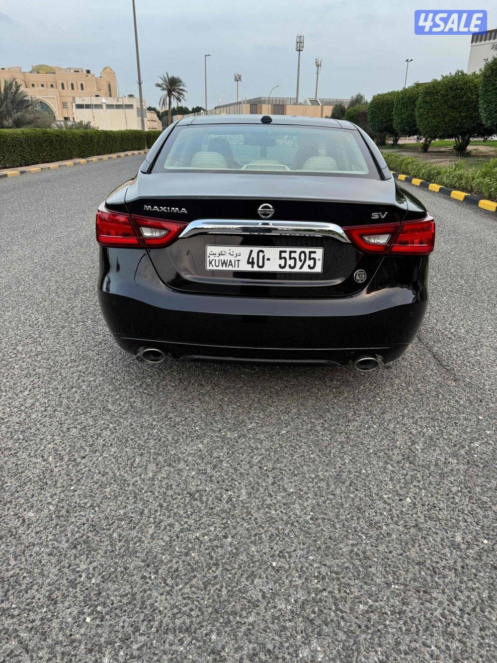 ماكسيما الدرجة الاولى صبغ الوكاله عداد 1005