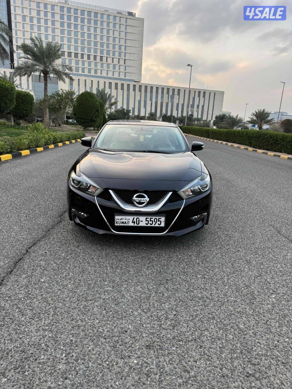 ماكسيما الدرجة الاولى صبغ الوكاله عداد 1006