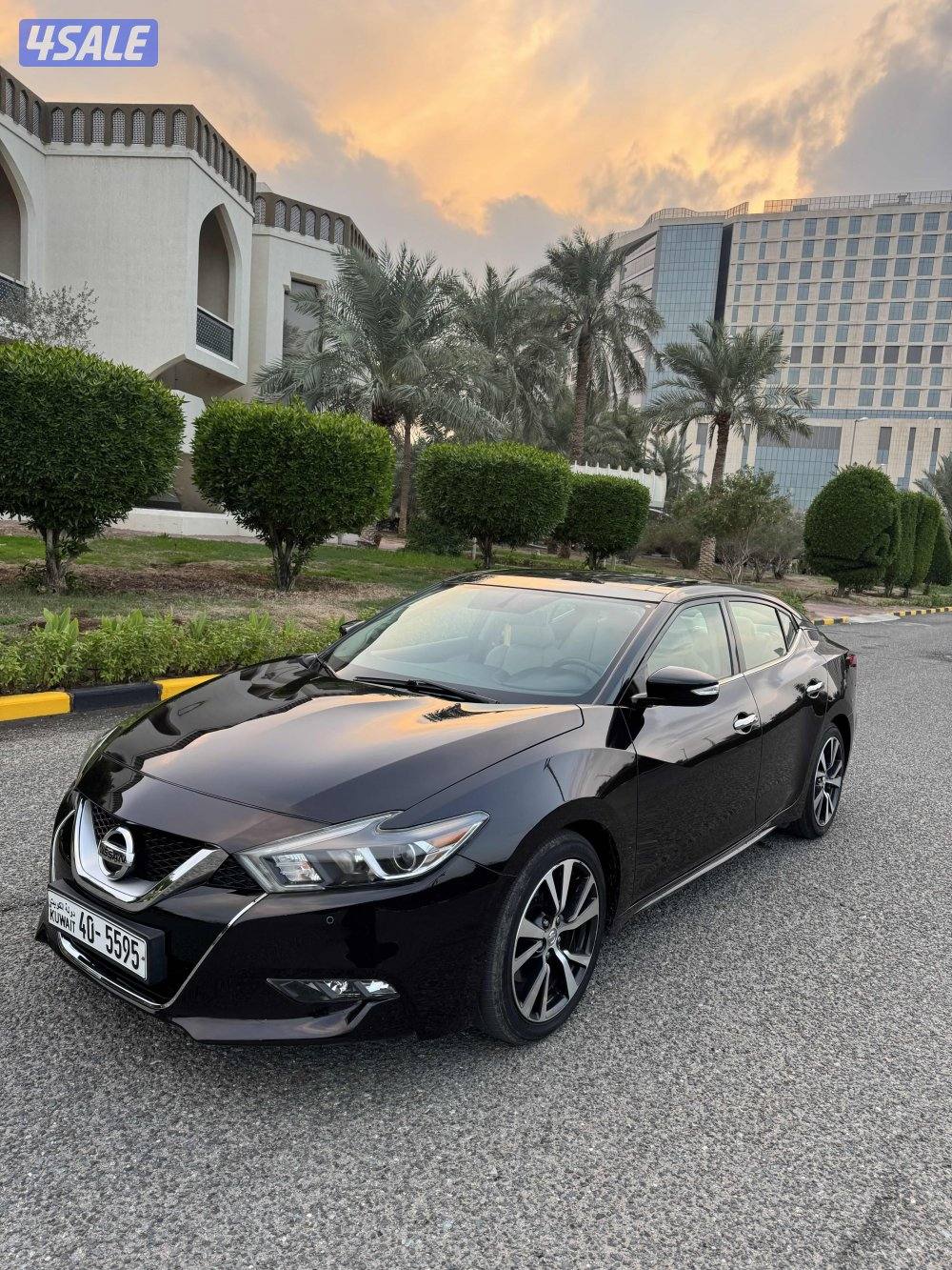 ماكسيما الدرجة الاولى صبغ الوكاله عداد 1007