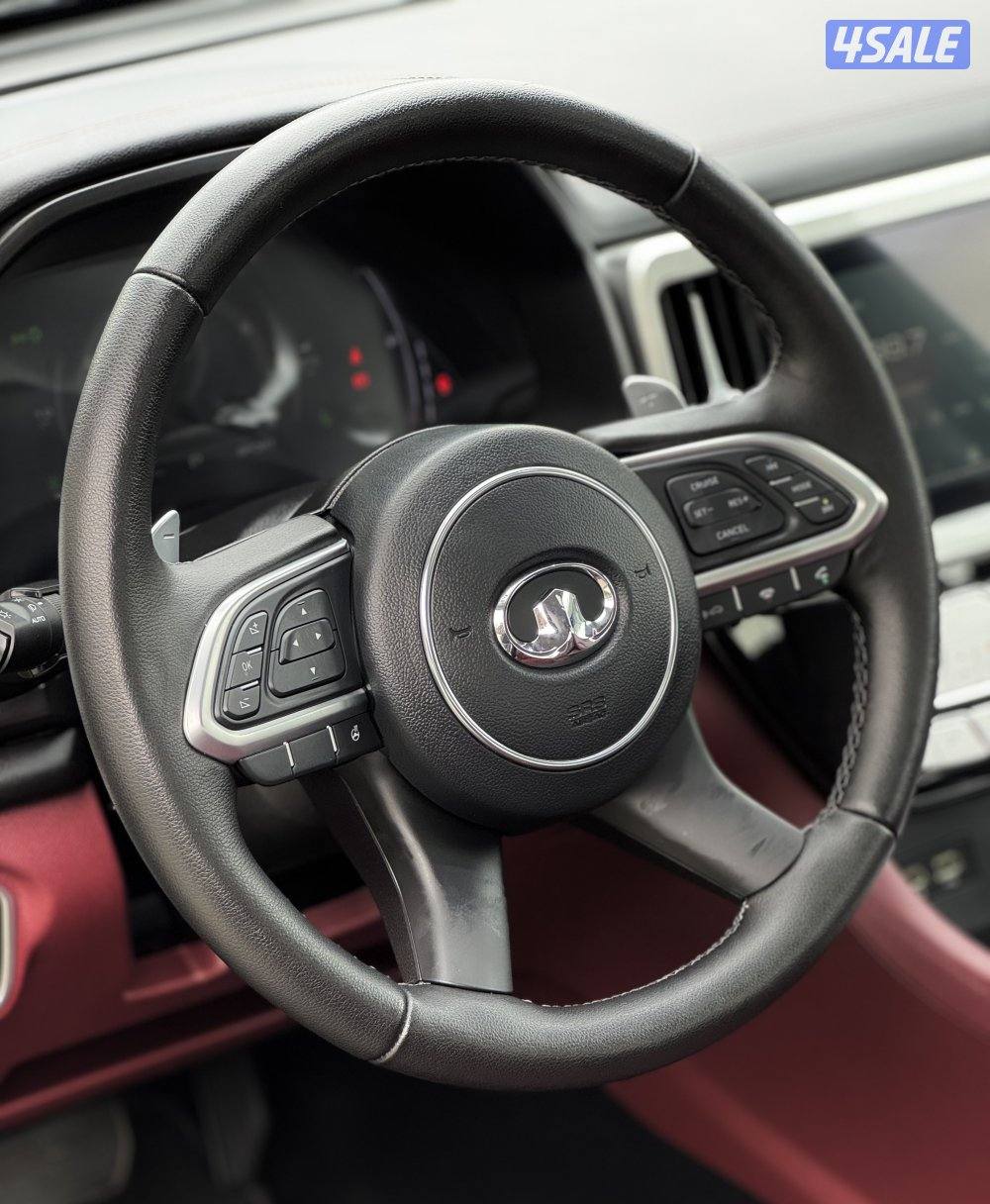 جريت وول  بوير موديل 2023 عداد 12 الدرجة الأولى  صبغ وكالة تحت الكفاله10