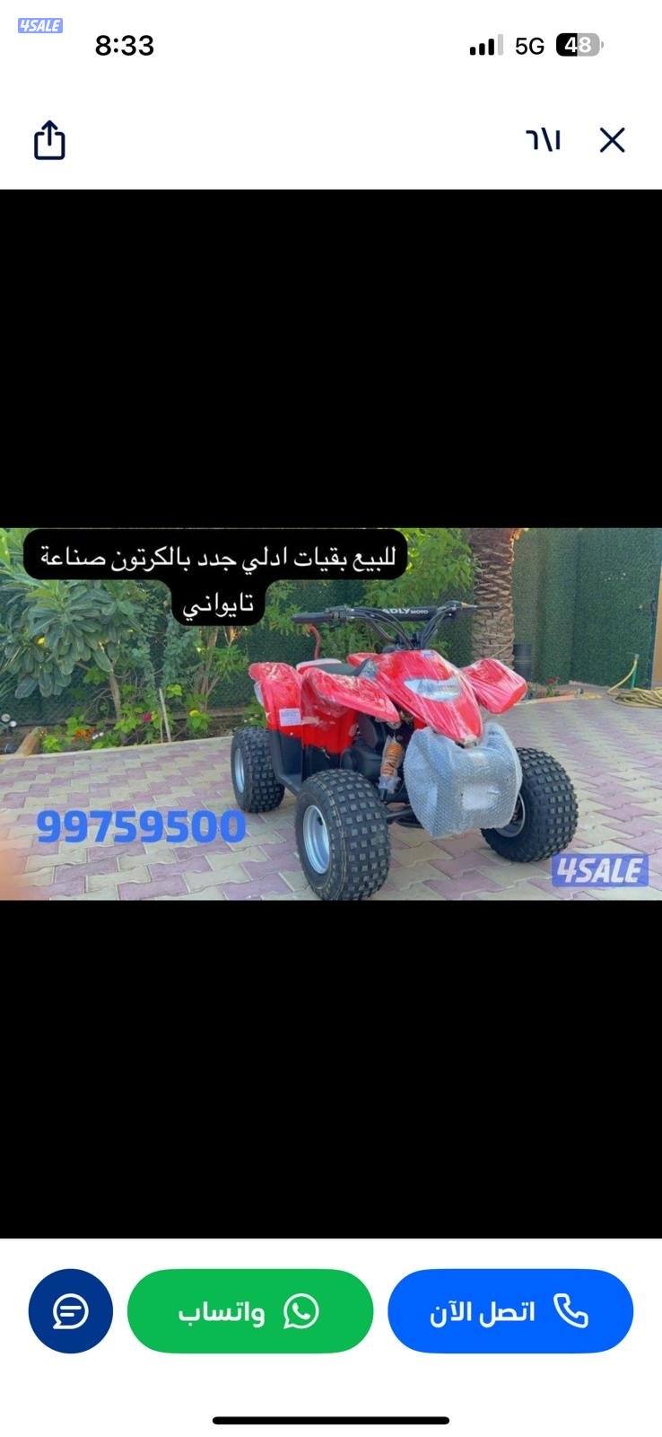 للبيع بقيات العميري جدد بالكرتون4