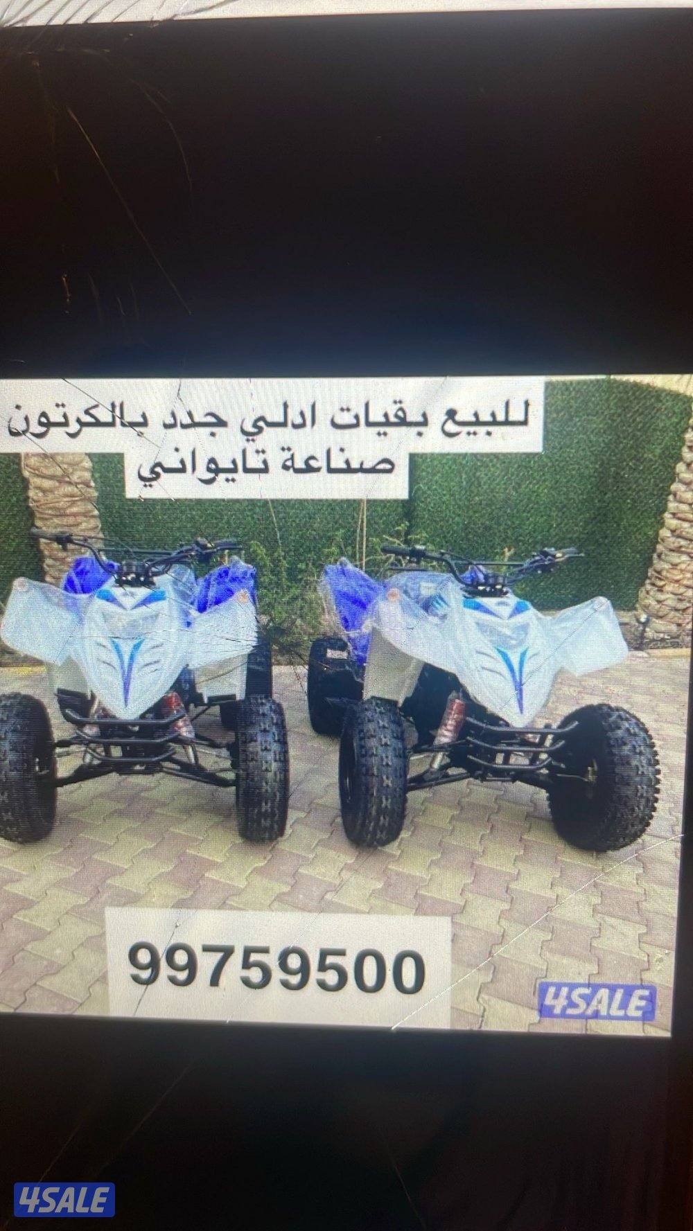 للبيع بقيات العميري جدد بالكرتون5