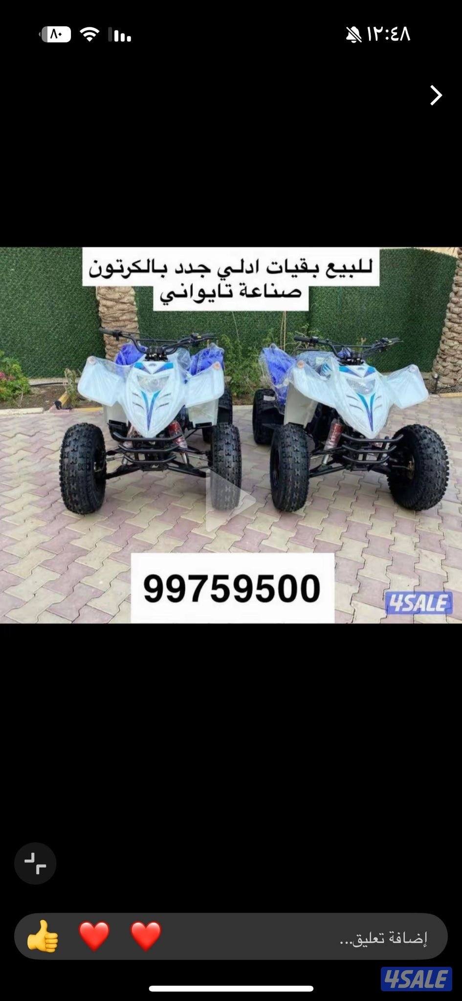 للبيع بقيات العميري جدد بالكرتون6