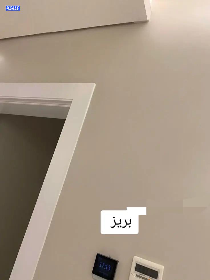 اصباغ كل ما هو جديد3